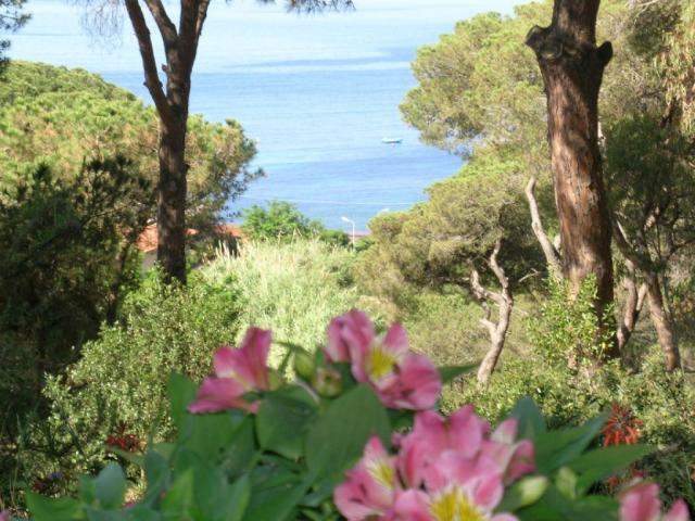 appartamento vacanze Elba